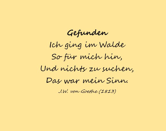 anlässlich des Westweg-Jubiläums haben wir in Zusammenarbeit mit der Berufsschule Freiburg ein besonderes Projekt zur Möblierung entlang des Weges initiiert. Gemeinsam mit dem Holzbildhauer-Kurs der Schule ist die Idee der „Lyrik-Stelen“ entstanden, die wir nun zunächst am Westweg umsetzen möchten.